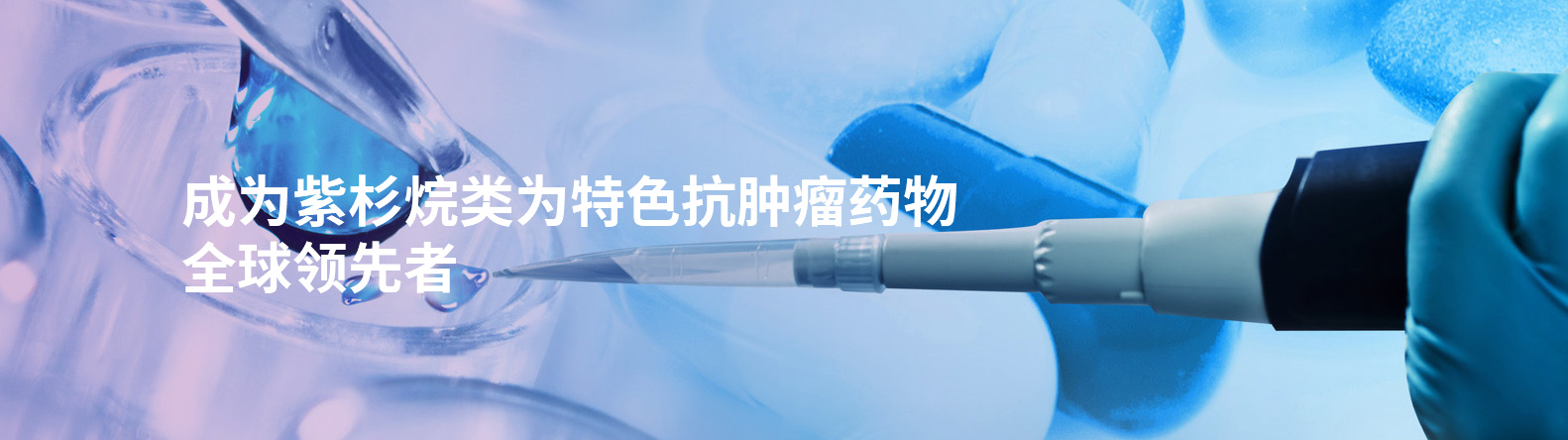 红豆杉大健康